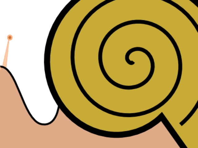 Snail Clipart Pond Snail - Illustration (640x480)