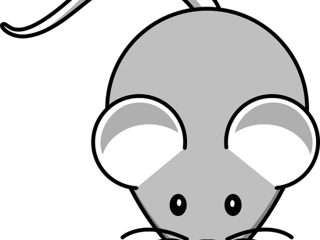 Grey Clipart Rodent - Cute Black And White Cartoon Animals (640x480)