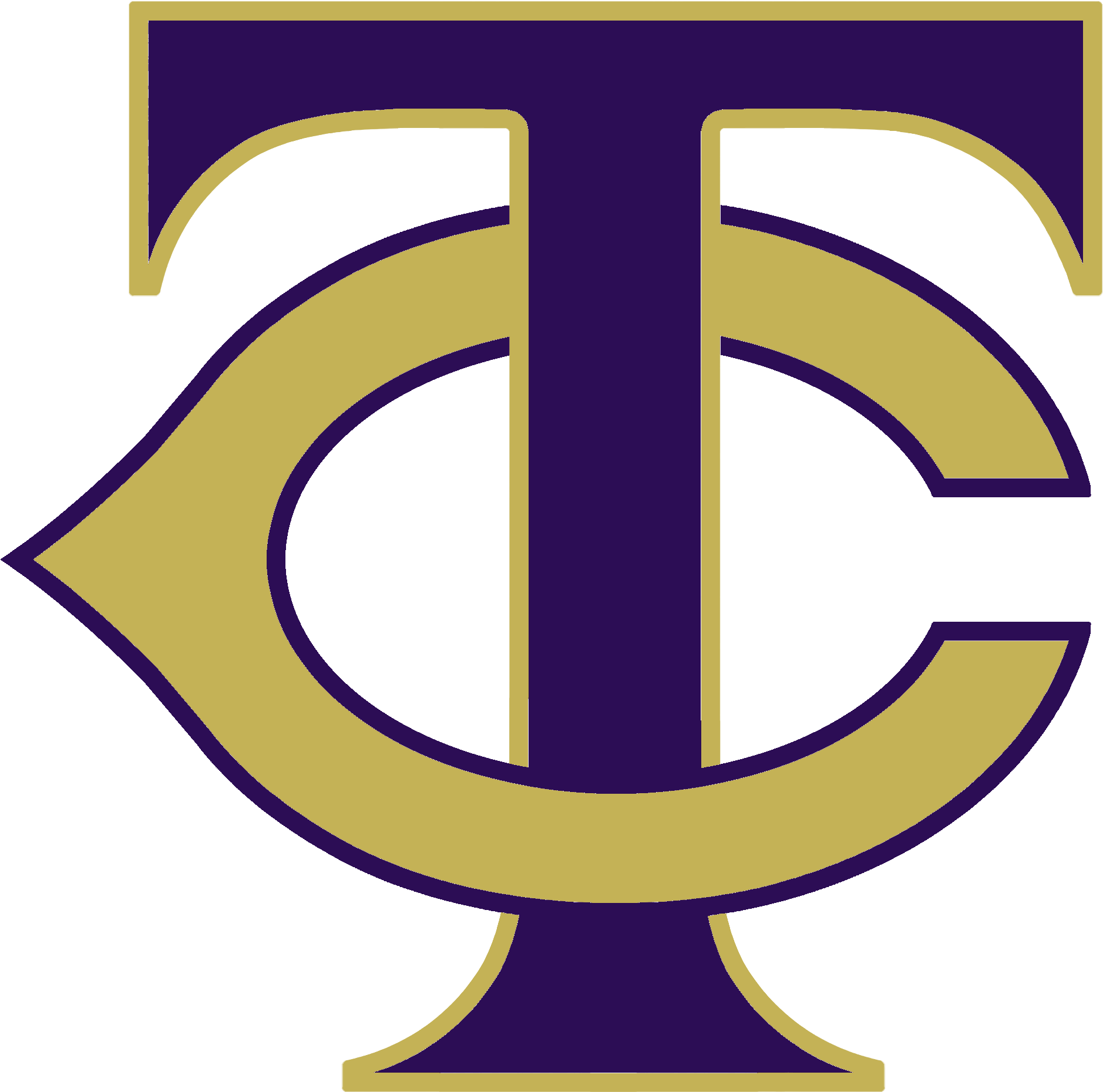 Timber - Timber Creek High School Logo (2400x2400)