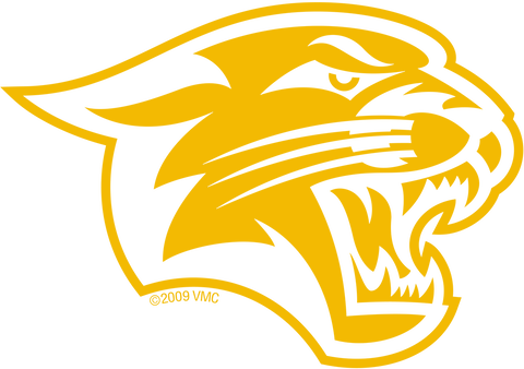 02 Cougar 1 Color On Dark - Illustration (480x338)