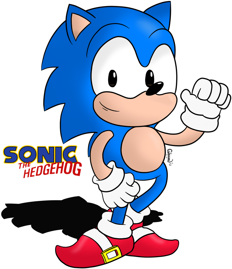 Cute Hedgehog By Vectormuffin - Sonic The Hedgehog 3 (823x971)