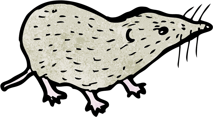 Shrew Drawing Elephant - Shrew Clipart (1000x1000)