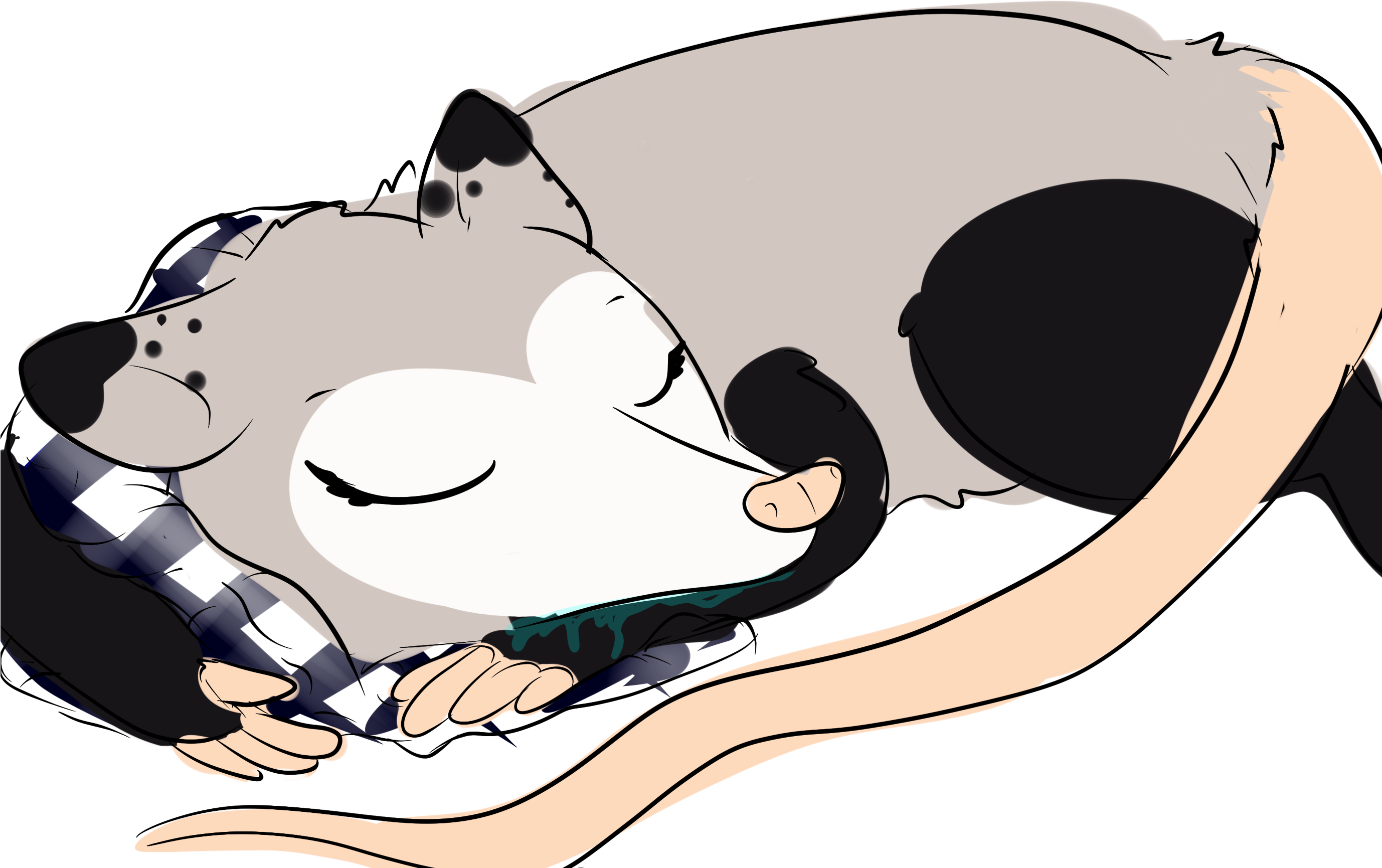 Possum Queen <3 « Older - Cartoon (2755x2755)