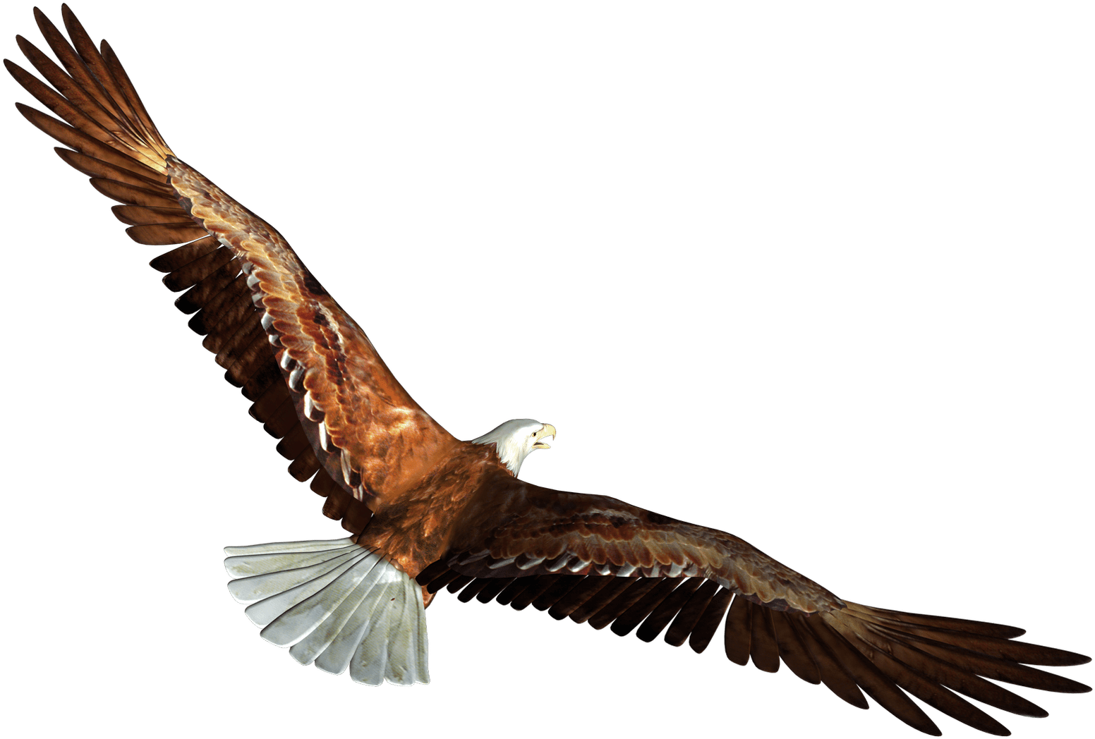 Eagle Graphic Clip Art - Eagle Flying Gif Png (1580x1085)