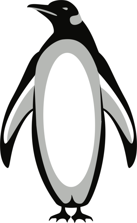 Penguin Black And White Drawing Razorbills Monochrome - Penguin Black And White Clipart (462x750)