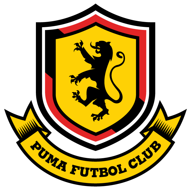 Puma Fc - Puma Fc Logo (633x626)