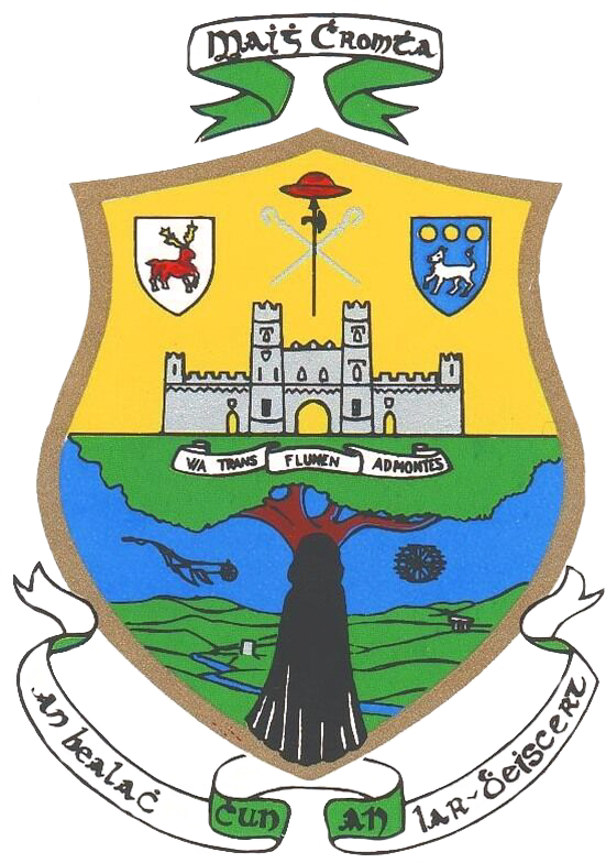 Before An Appreciate And Packed Attendance Cork Camogie - Crest (551x784)