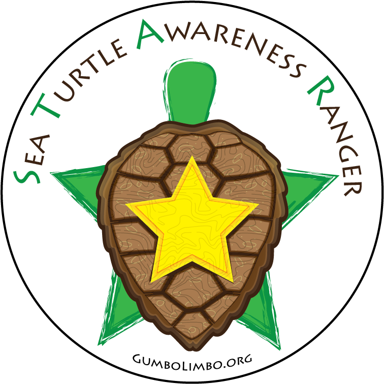 In Order To Reach More People About Sea Turtle Conservation, - Men In Cities (845x859)