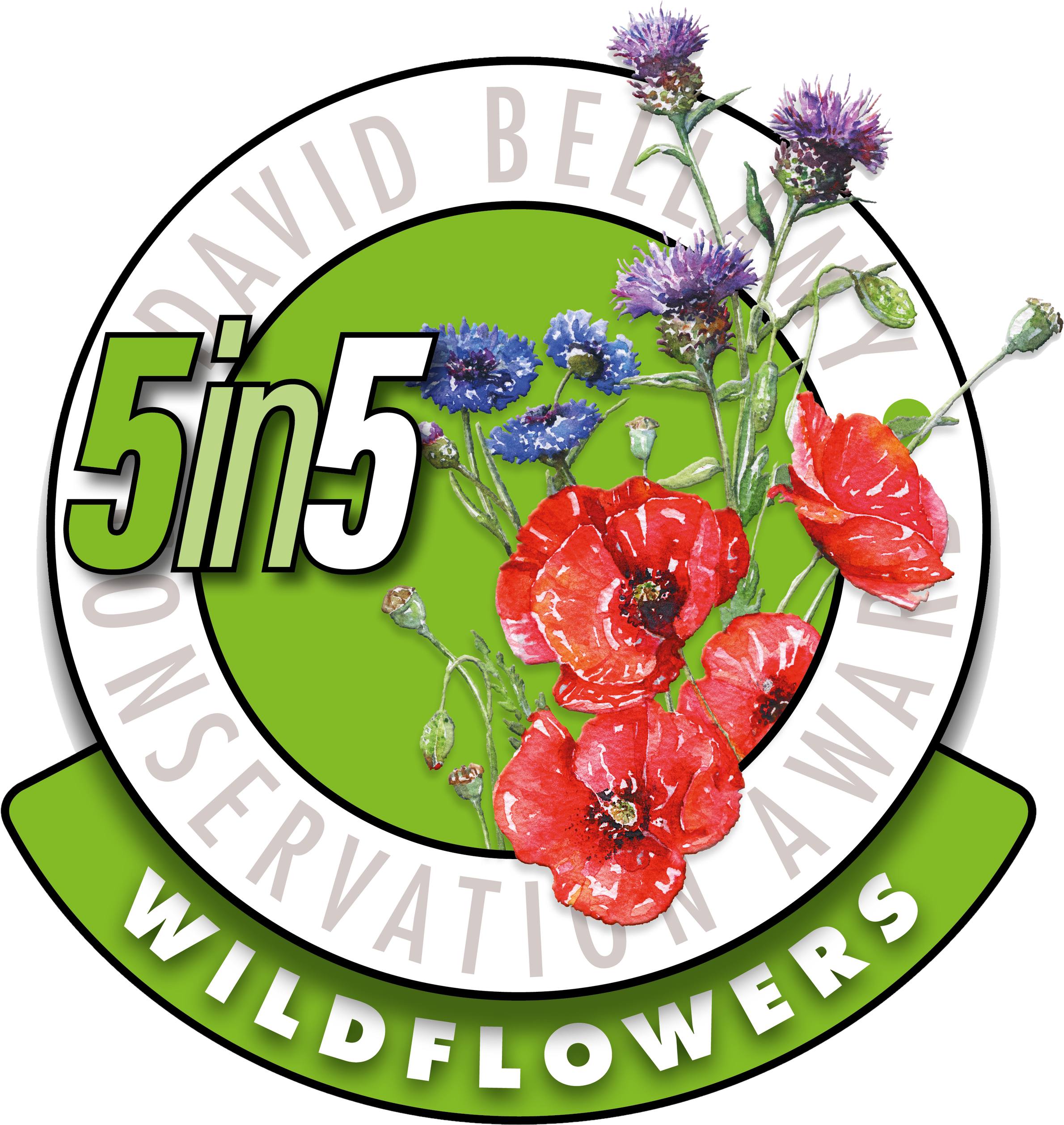 Like Lincomb Lock On Facebook - David Bellamy Award (2828x2828)