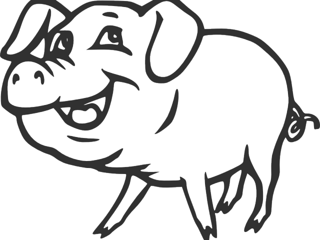 Panda Clipart Animal Clipart - Pig Clipart Black And White Png (640x480)