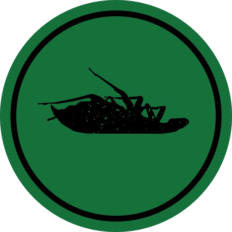 Record Record Record Record Record Record Record Record - Circle (800x800)