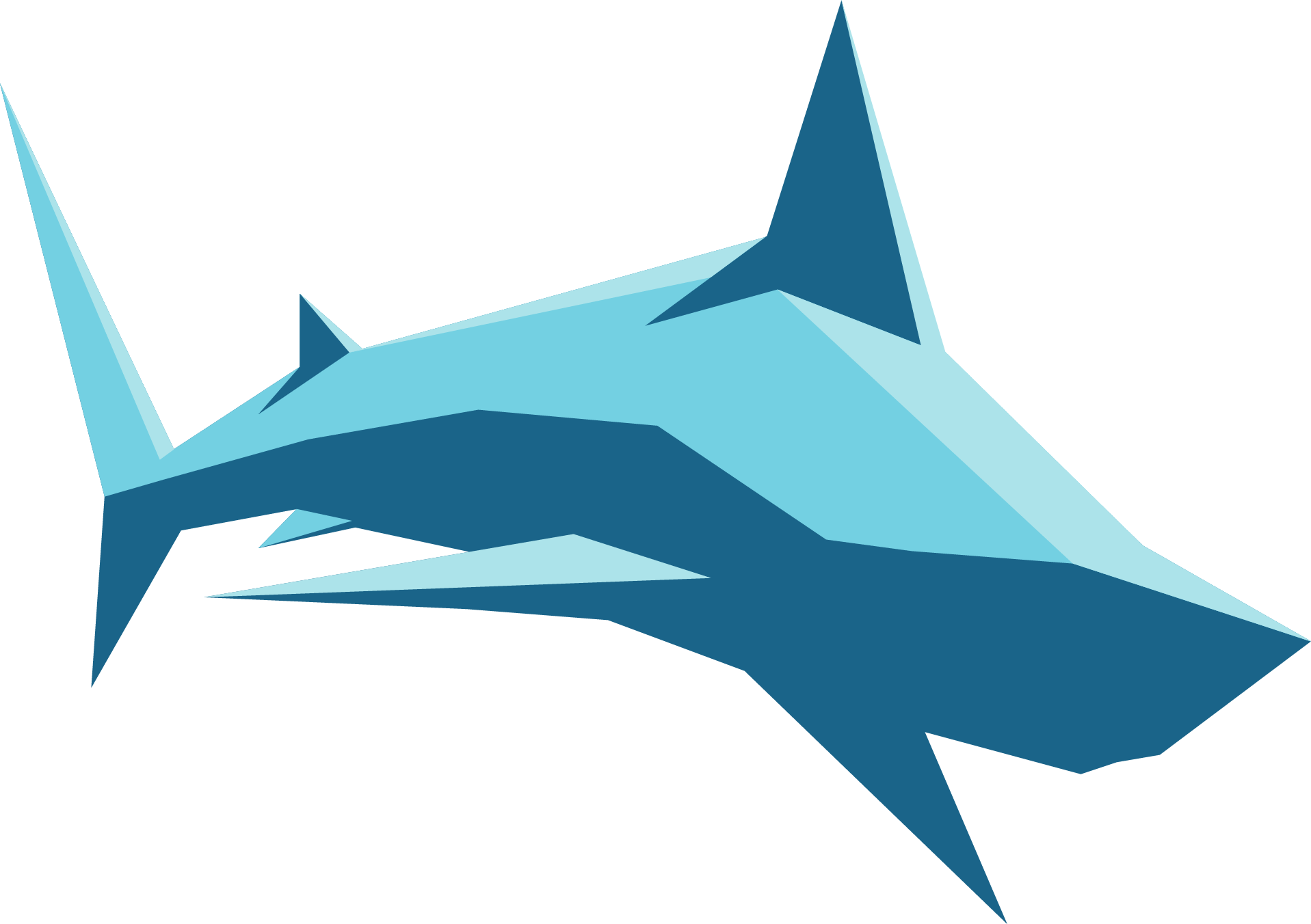 3 - Wide Sawfish (1917x1352)