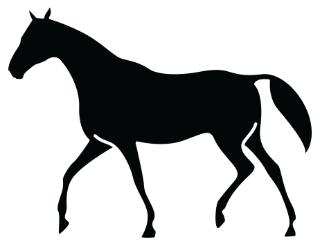 About Us - Fat On Tail Head Horse (462x356)