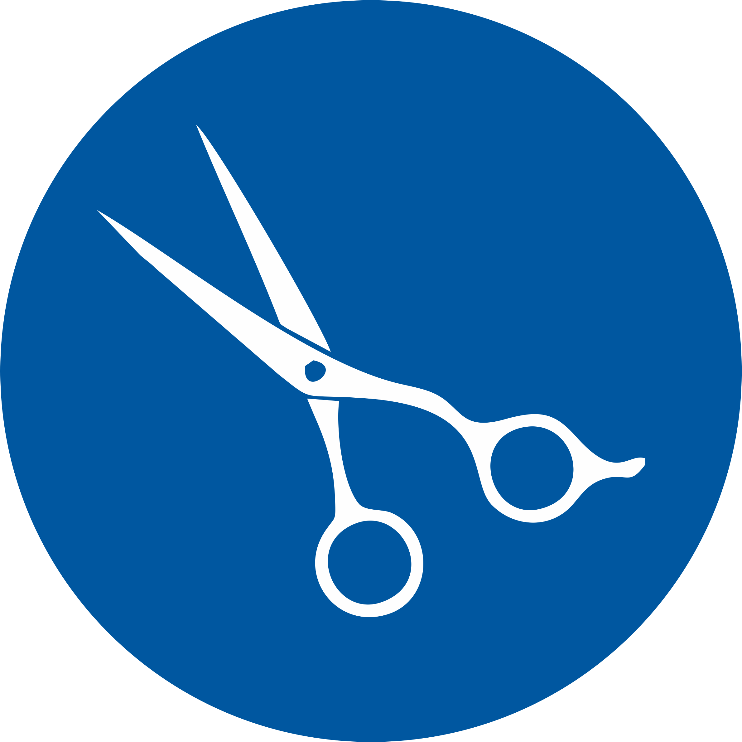 Ameek Is A Well-recognized Name In The Field Of Dental - Circle (2380x2379)