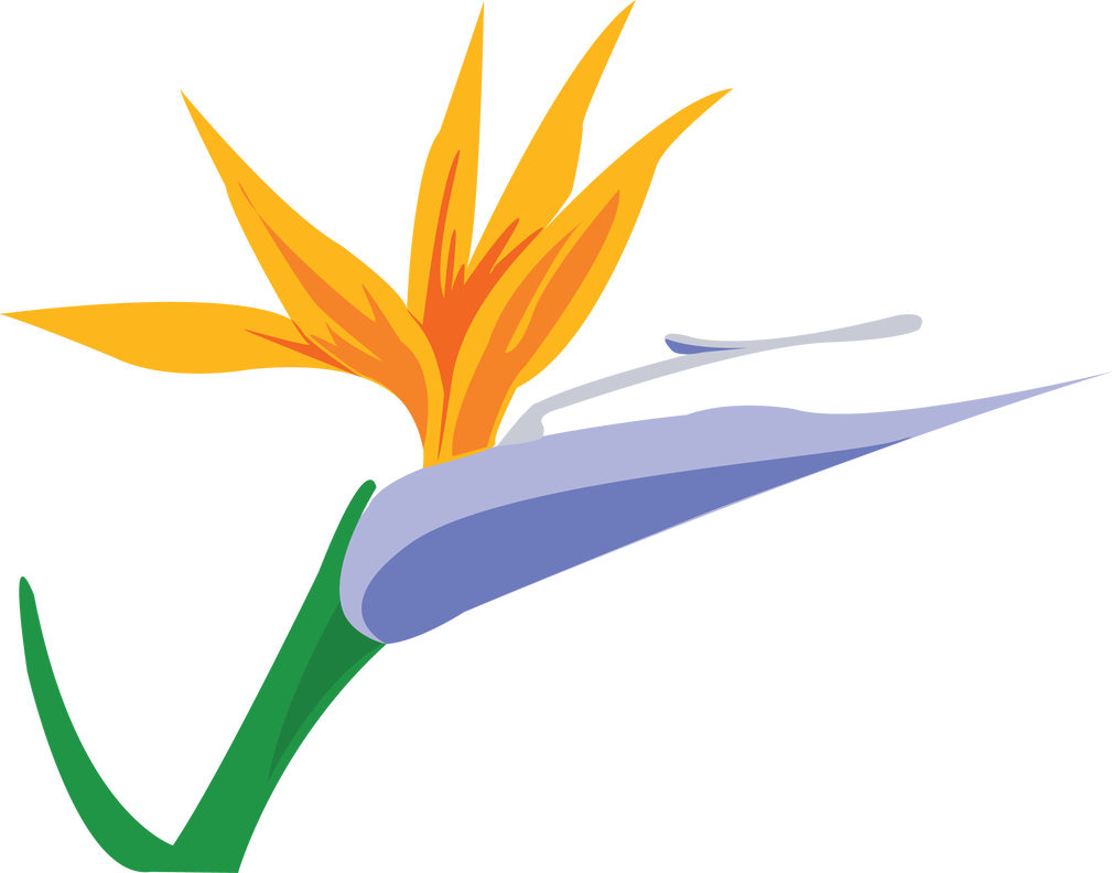 Bird Of Paradise By Jendrawsit - Bird Of Paradise By Jendrawsit (1009x792)