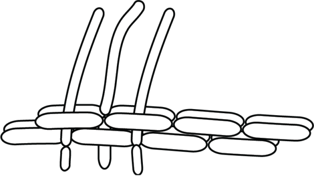 Airigamiballoon11 - Line Art (620x347)