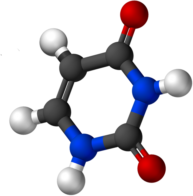 Study Of Low Energy Electron-impact Induced Ionization - Uracil Png (900x900)
