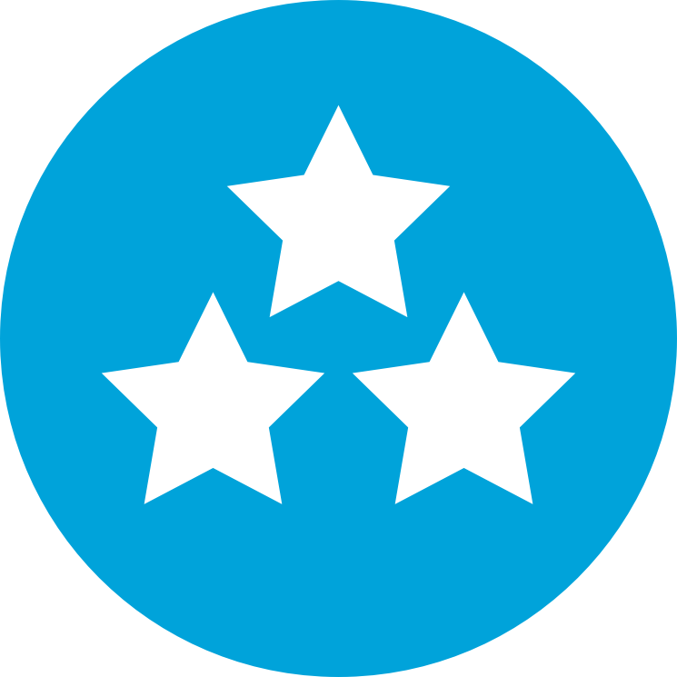 Gemar Balloons - Quality - Personal And Social Capability (745x745)