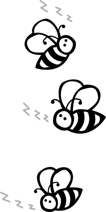 Bees Flying Black And White U00b7 Free Vector Graphic - Clipart Black And White Bees (362x720)