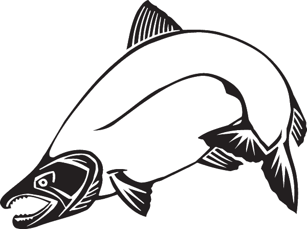 Chinook Salmon Clip Art (600x447)