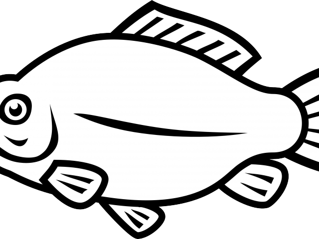 Salmon Clipart Galunggong - Ikan Oscar Vector Png (640x480)