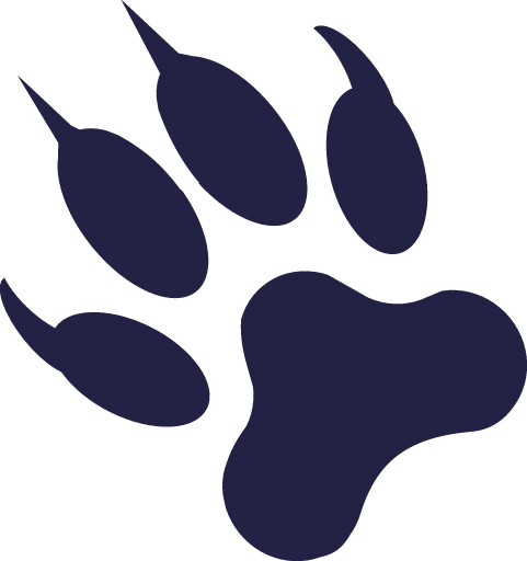 Curriculum & Learning Services - Curriculum & Learning Services (481x512)