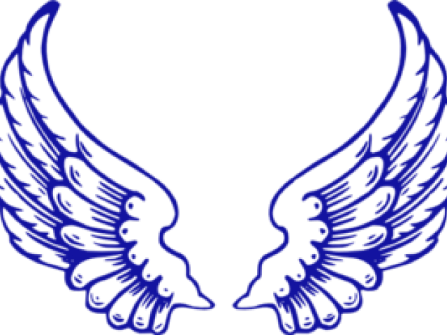 Wings Clipart Falcon - Angel Wings Drawing (640x480)