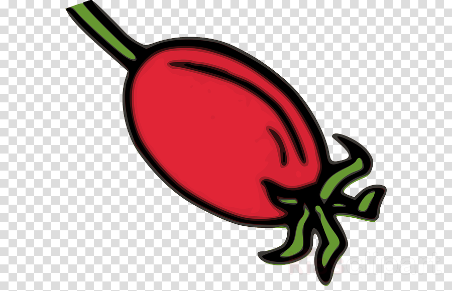 Rose Hip Clip Art Clipart Rose Hip Clip Art - Brush Stroke Circle Transparent (900x580)