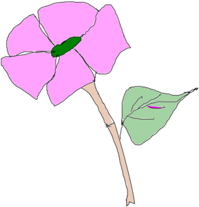 Plants Rose Leaf Description Plant Stem - Illustration (530x750)