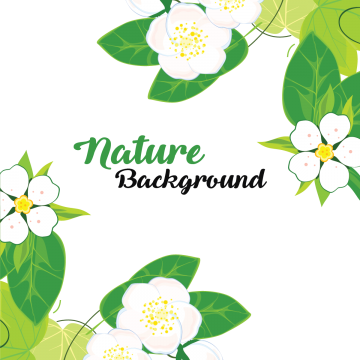 Leaves And Flowers With Nature Background, Leaves, - Evergreen Rose (360x360)