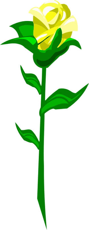 Medium Image - Medium Image (312x800)