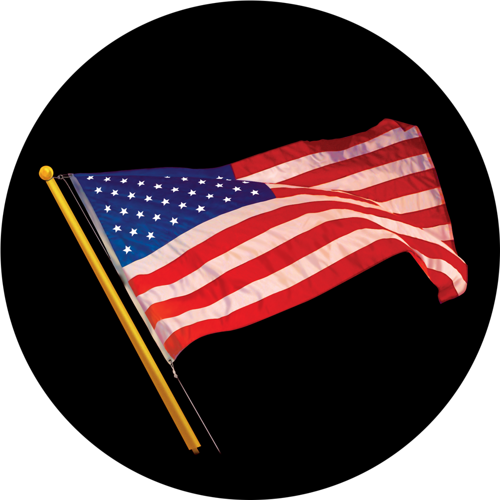 Flag Of The United States (1200x1200)
