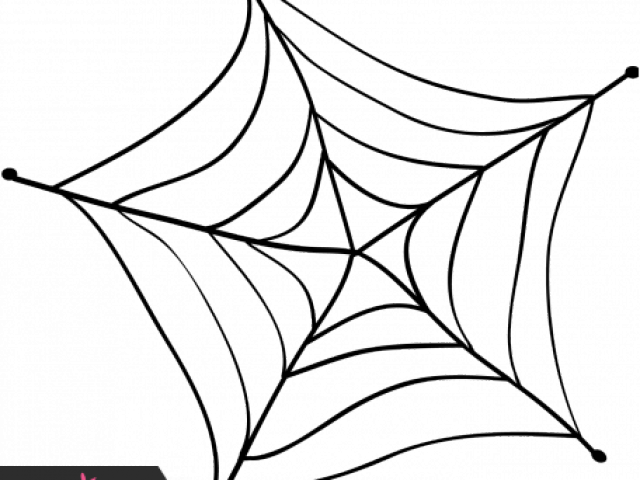 Spider Web Clipart Doodle - Spider Web (640x480)