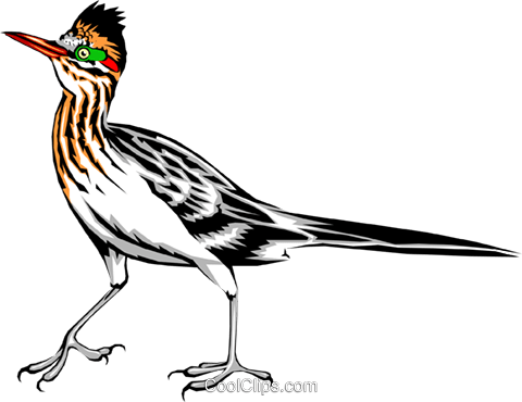Roadrunner Royalty Free Vector Clip Art Illustration - Road Runner Clip Art (480x370)
