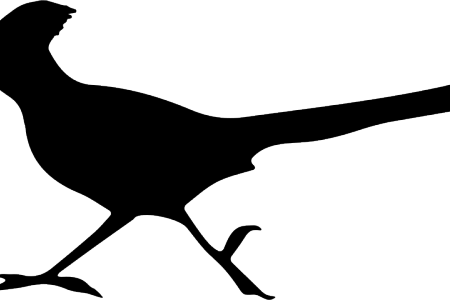 Free K Pictures Full Hq Wallpaper X - Road Runner Silhouette Clip Art (450x300)
