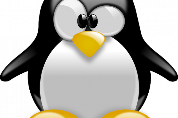 How To Install Linux On A Chromebook - Penguin Tux (600x400)
