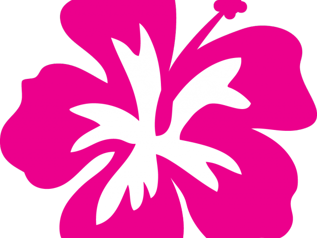 Pink Flower Clipart Hawaiian - Plumeria Flowers Clipart (640x480)