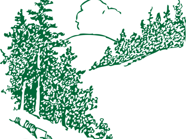 Pine Tree Clipart Mountain - Free Christmas Clip Art (640x480)