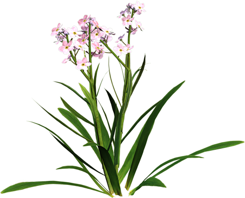 Free Sympathy Clip Art - Clip Art (500x500)