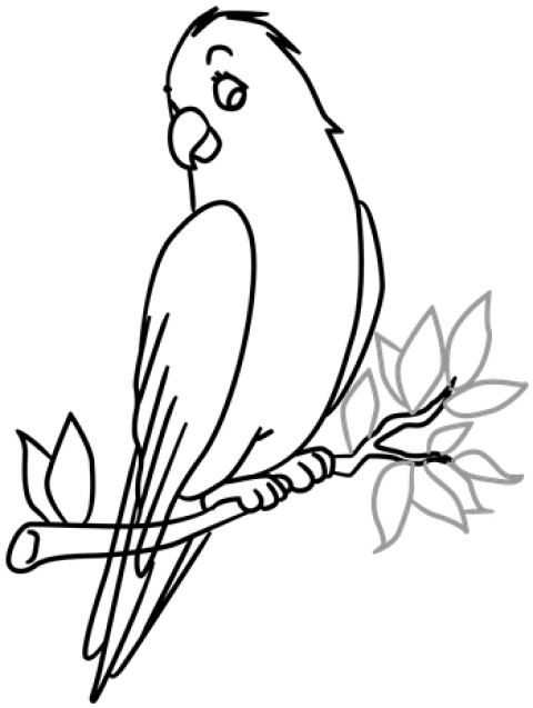 Free Png Download Bird In A Tree Drawing Png Images - Birds In Tree Drawing (480x637)