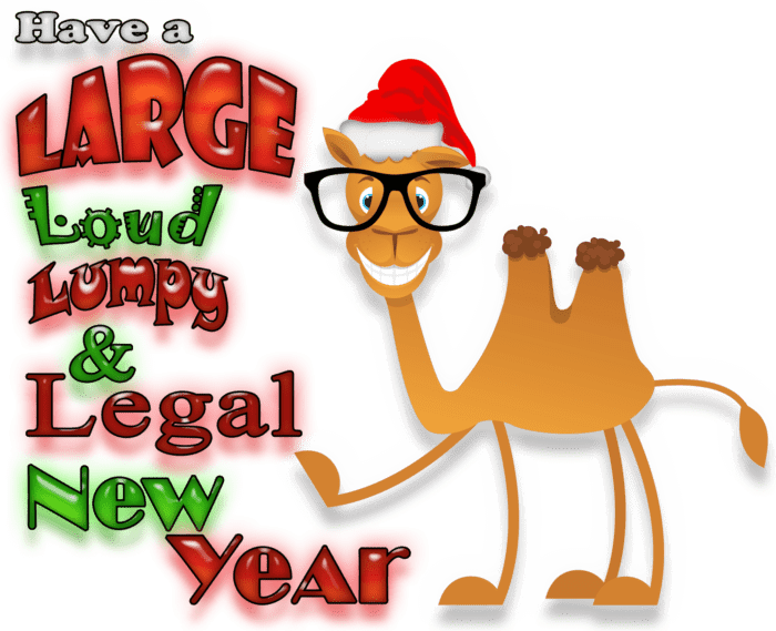 Cartoon Camel Wearing Glasses And A Santa Hat Pointing - Cartoon (700x569)