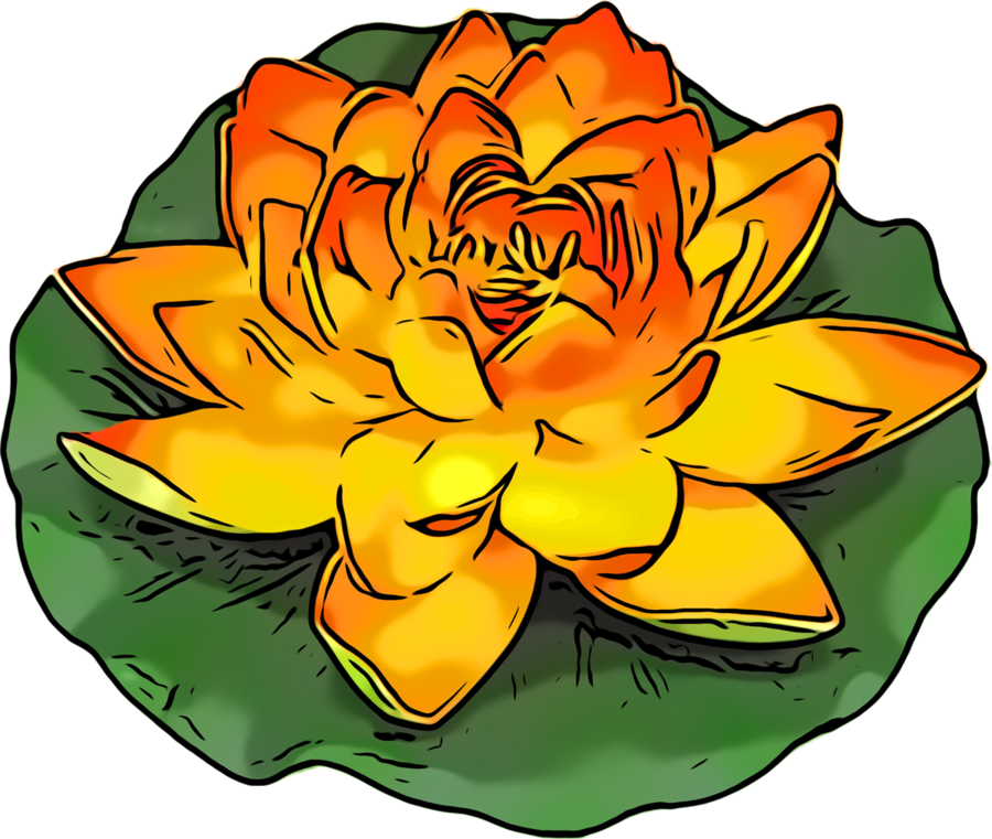 Cut Flowers Clipart Floral Design Cut Flowers - Cut Flowers Clipart Floral Design Cut Flowers (900x761)