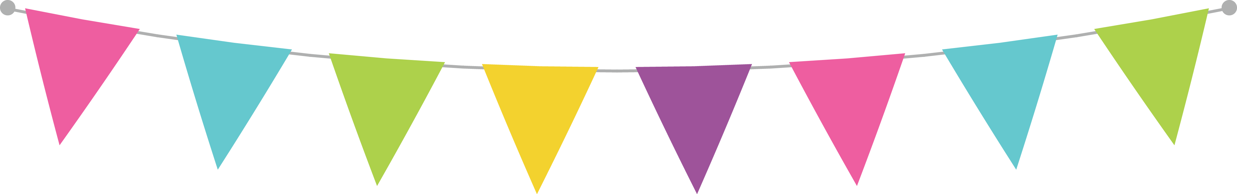 Transparent Bunting (4040x634)