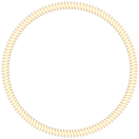 Free Png Download Golden Round Deco Border Transparent - Circle (480x480)