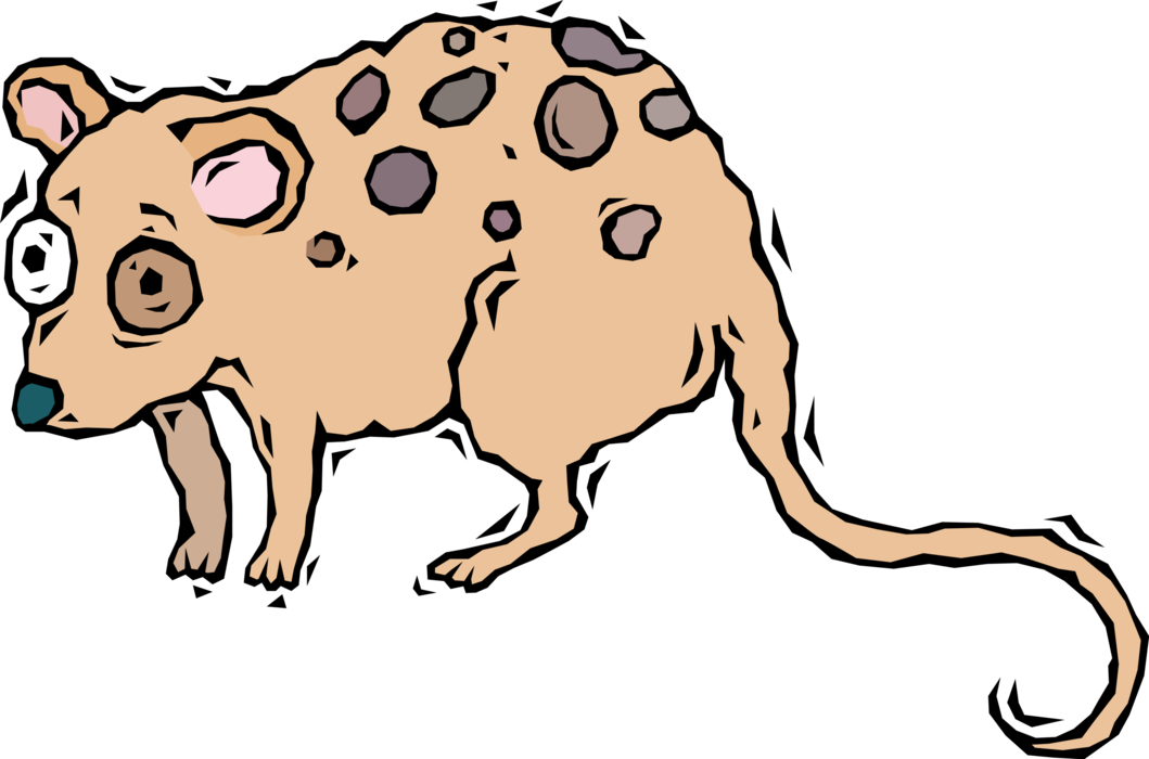 Vector Illustration Of Starry-eyed Opossum - Vector Illustration Of Starry-eyed Opossum (1059x700)