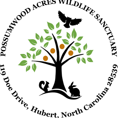 Possumwood Acres Wildlife Sanctuary Volunteer Opportunities - Imagenes De Logos De Arboles (411x411)