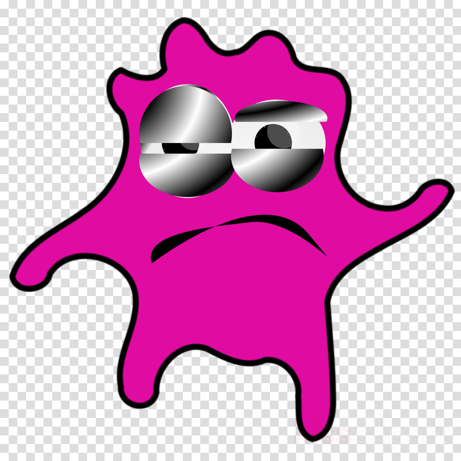 Logo Camera Icon Png Transparent (900x900)