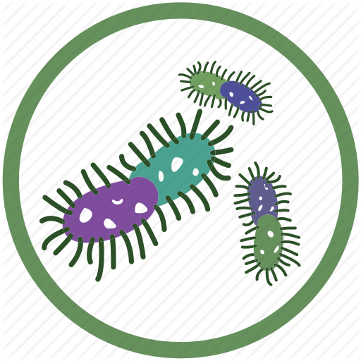 Bacteria Clipart Bacteria Infection Clip Art - Illustration (512x512)