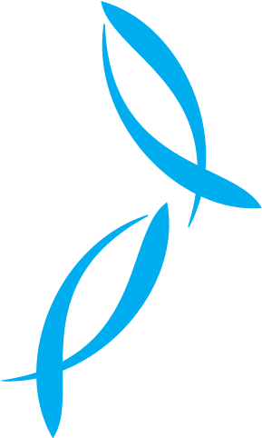 Feed Statement - Feed Statement (506x506)