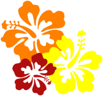 Hibiscuscandyleisa - Hawaiian Flower Transparent Background (427x390)